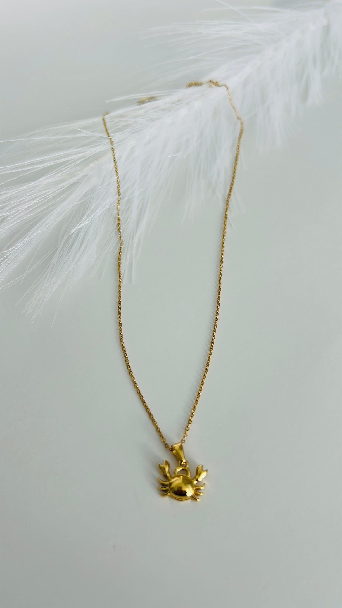 Collar Cangrejo